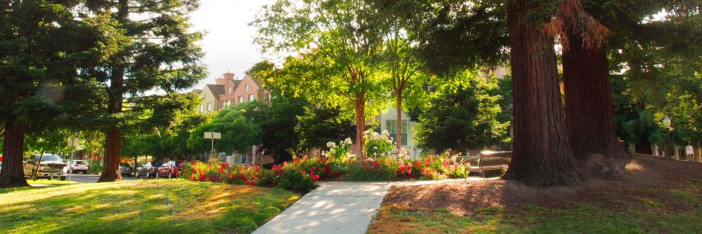 Alanna | Where Are My Pillows banner