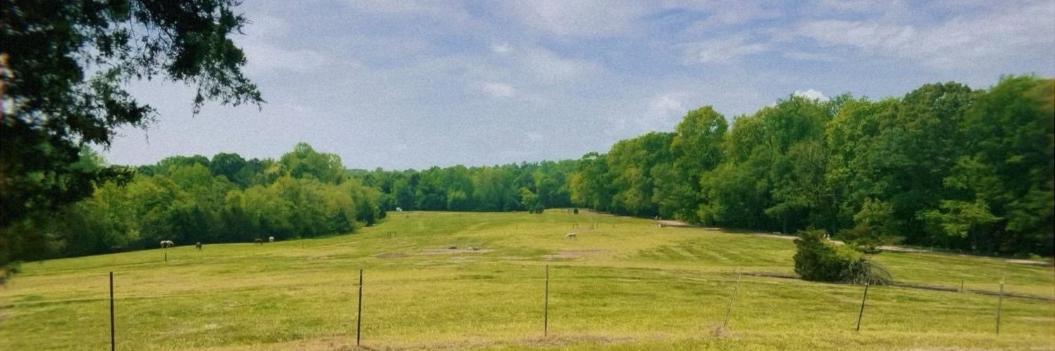 Detective Benoit723 banner