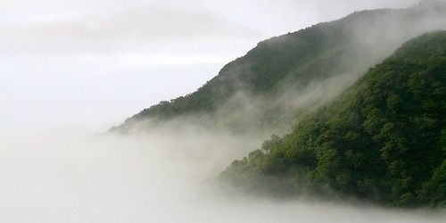 uremindmeof_'s profile banner image