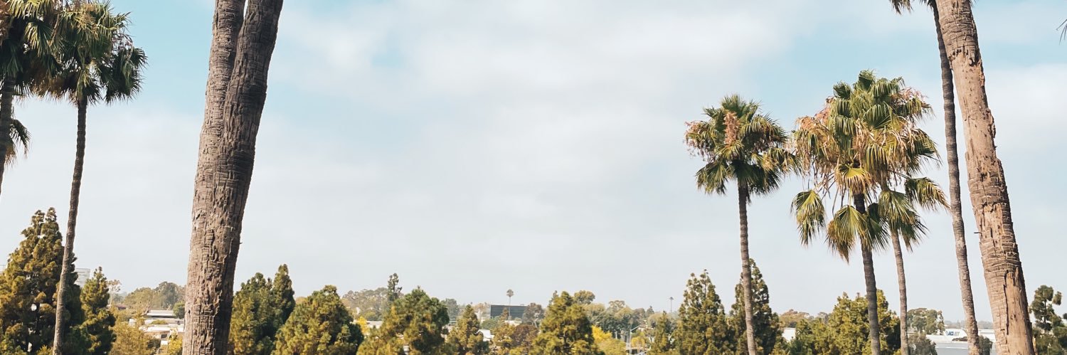 Ashton banner