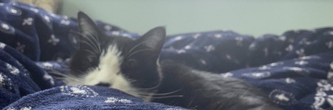 NN_408's profile banner image