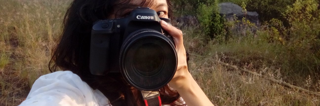 diansepta_'s profile banner image