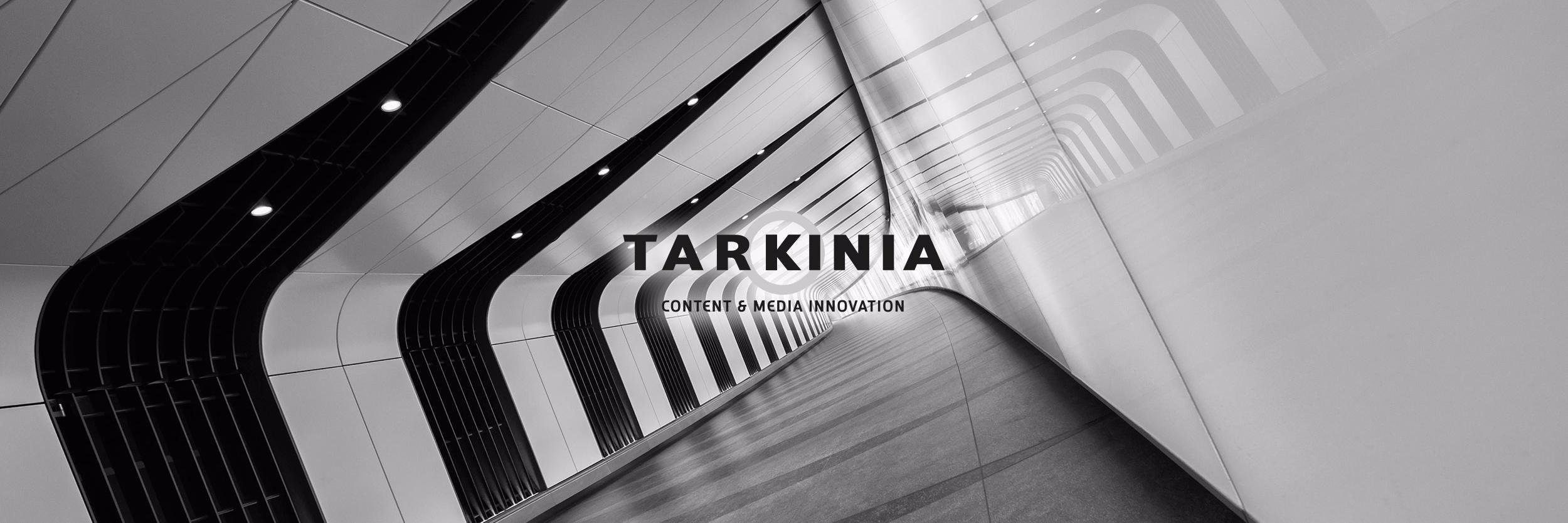 Tarkinia banner