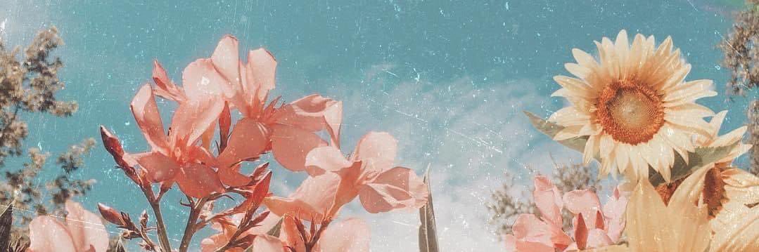DearrSarah's profile banner image