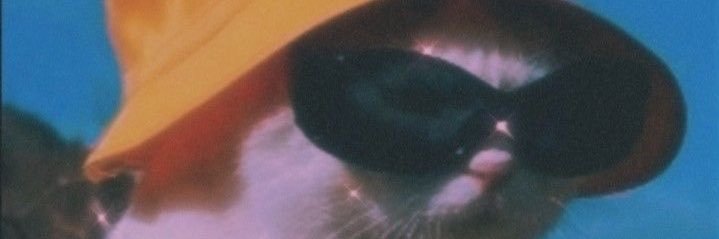 nevaa01's profile banner image