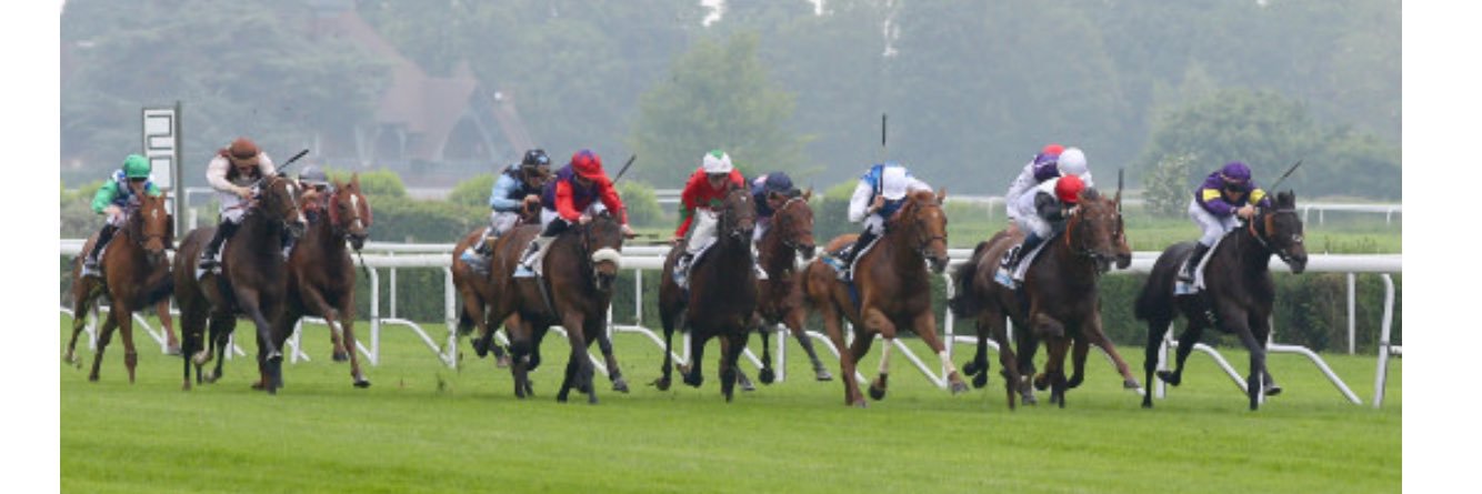 BourgeaisArnaud banner