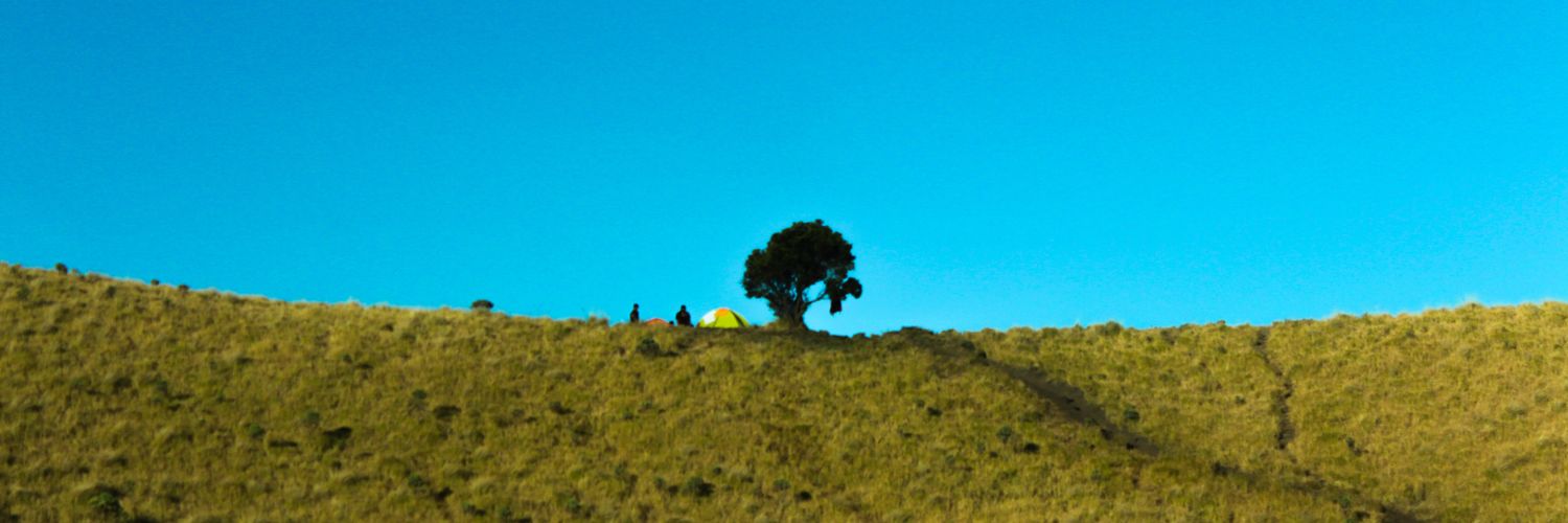 wordveng's profile banner image