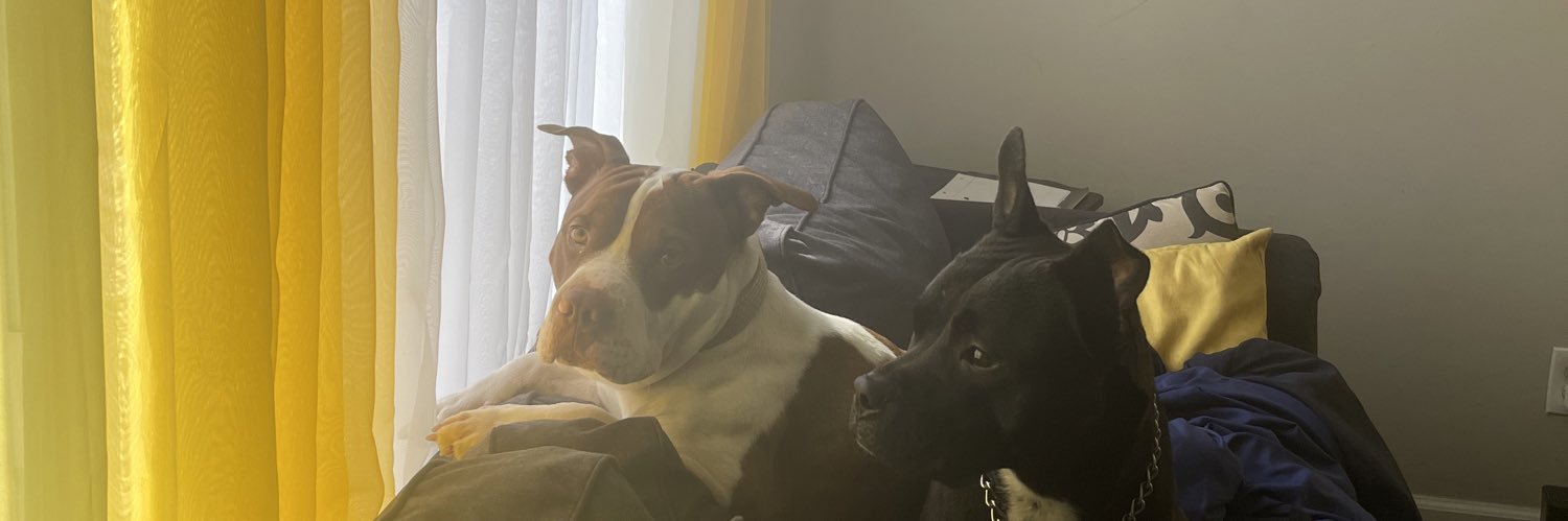 Tdotnia's profile banner image