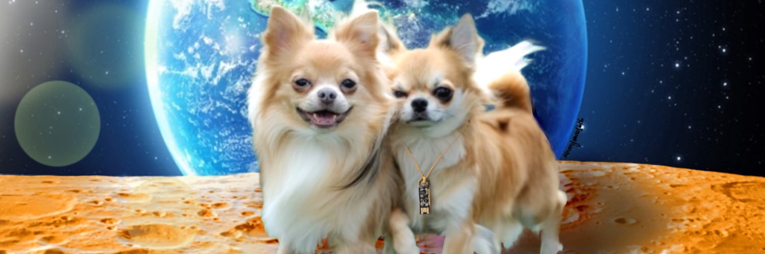 heyitsClank's profile banner image