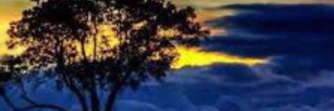 linagutierrez78's profile banner image