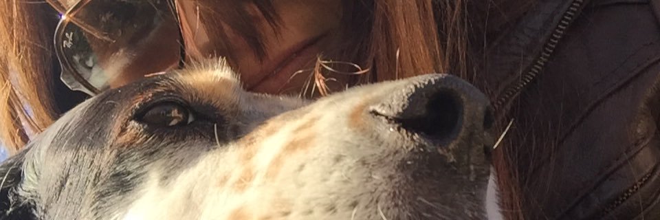 MIMI_E_D's profile banner image