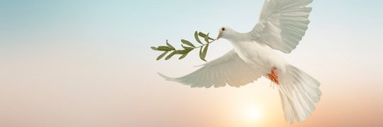 karmaback5's profile banner image