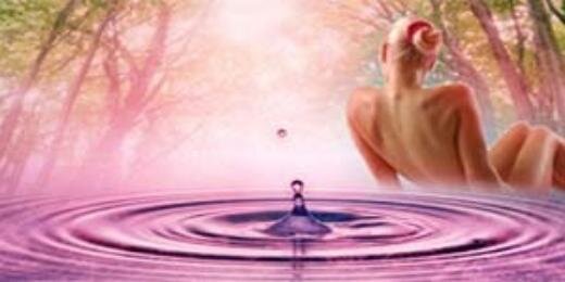 SecchiSilvana's profile banner image