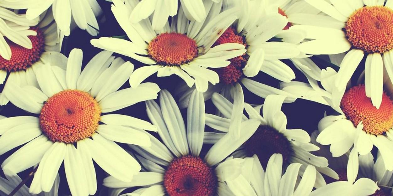 smith_becci's profile banner image