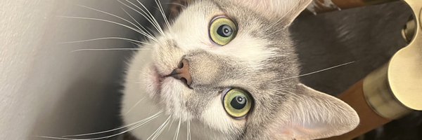 ddyrffrff Profile Banner
