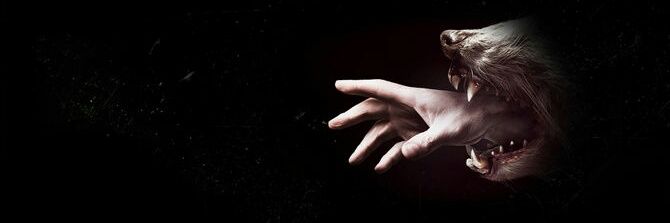 tosuncigdemm's profile banner image