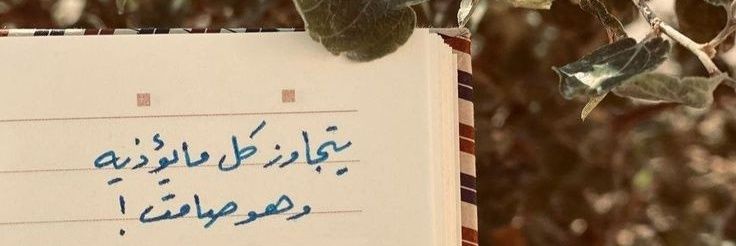 reqaha_'s profile banner image
