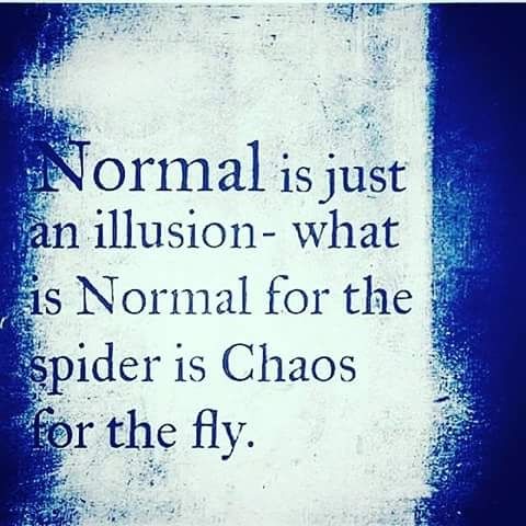 anomaly050460's profile banner image