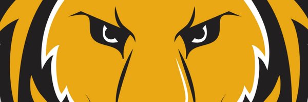 CCBCDundalkLion Profile Banner