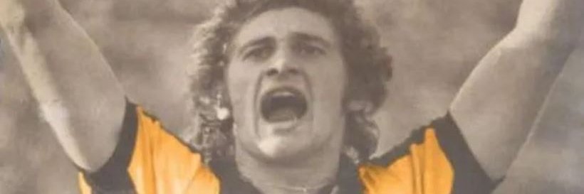 Nandista banner