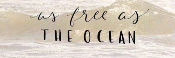 Islandercurls Profile Banner