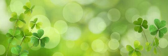 qokhanr's profile banner image