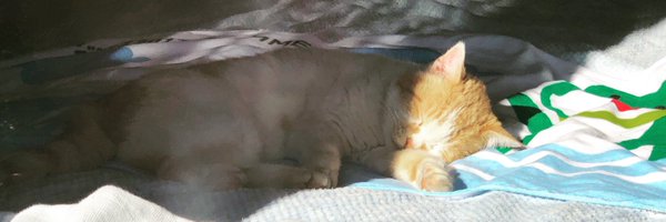 Bmtb_bass Profile Banner