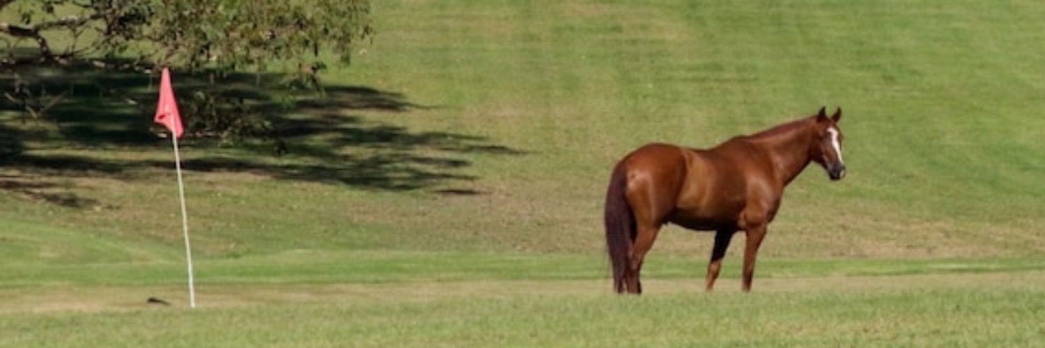 alsostarring's profile banner image