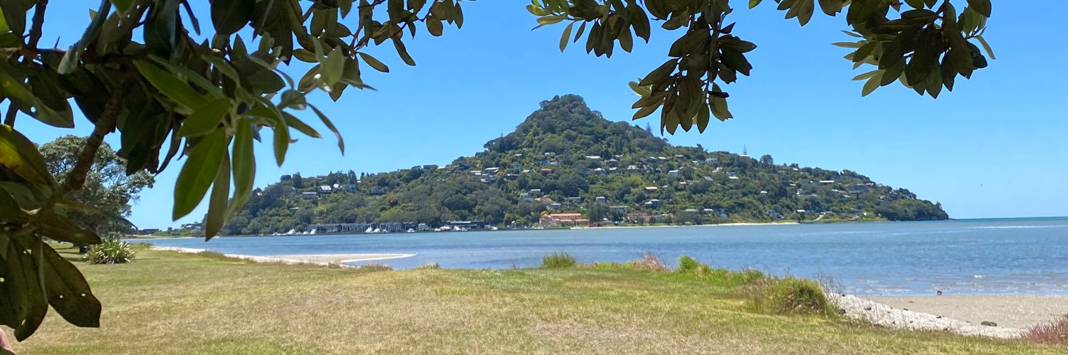 Andrew Shinie banner