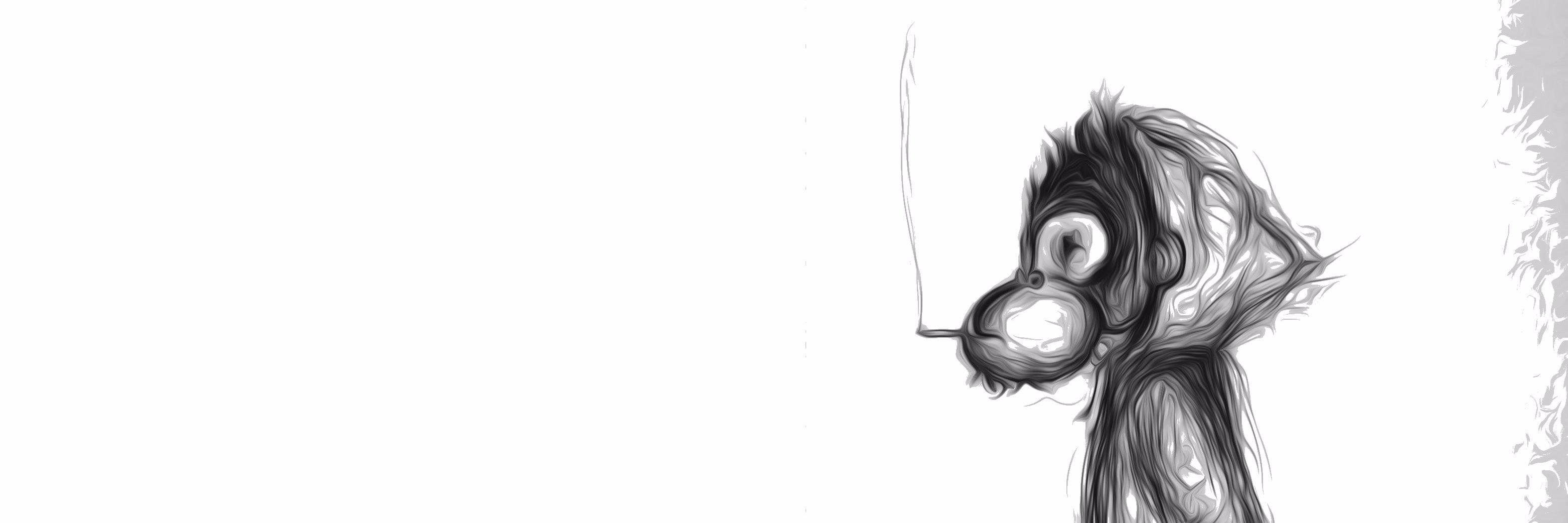 Monkey Harper banner