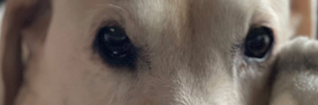 ashetty1128's profile banner image