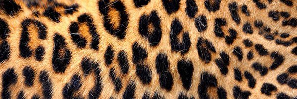 s1n223 Profile Banner