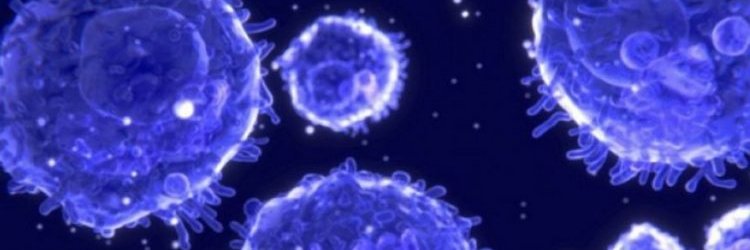 Cimime_'s profile banner image