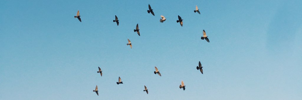 waniikhalid's profile banner image