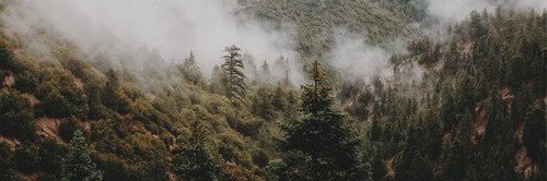 zirahnn's profile banner image