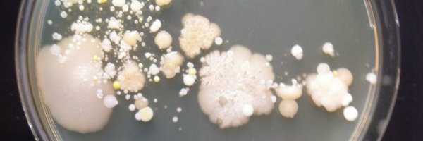 SousaDZ Profile Banner