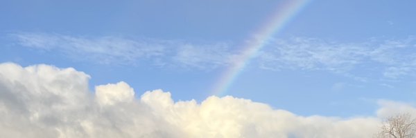 mirainiwerydd Profile Banner