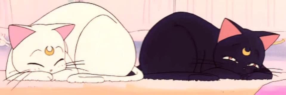 caroline8D8D's profile banner image