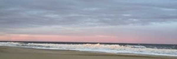 SandyGassner Profile Banner