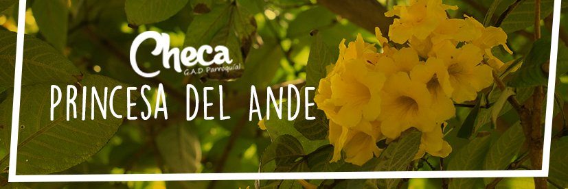 GAD Parroquial Checa banner