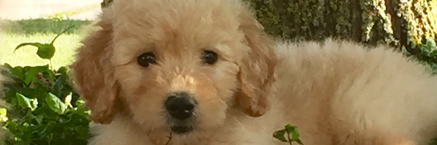 acceptAutizm's profile banner image