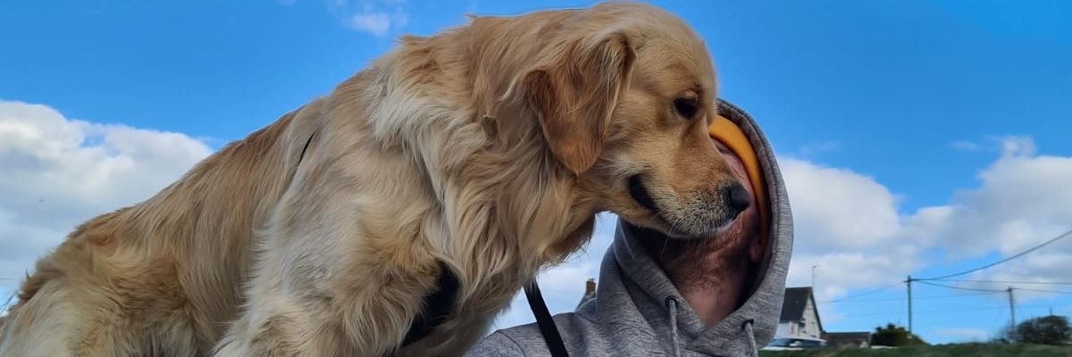 BriainFlood's profile banner image