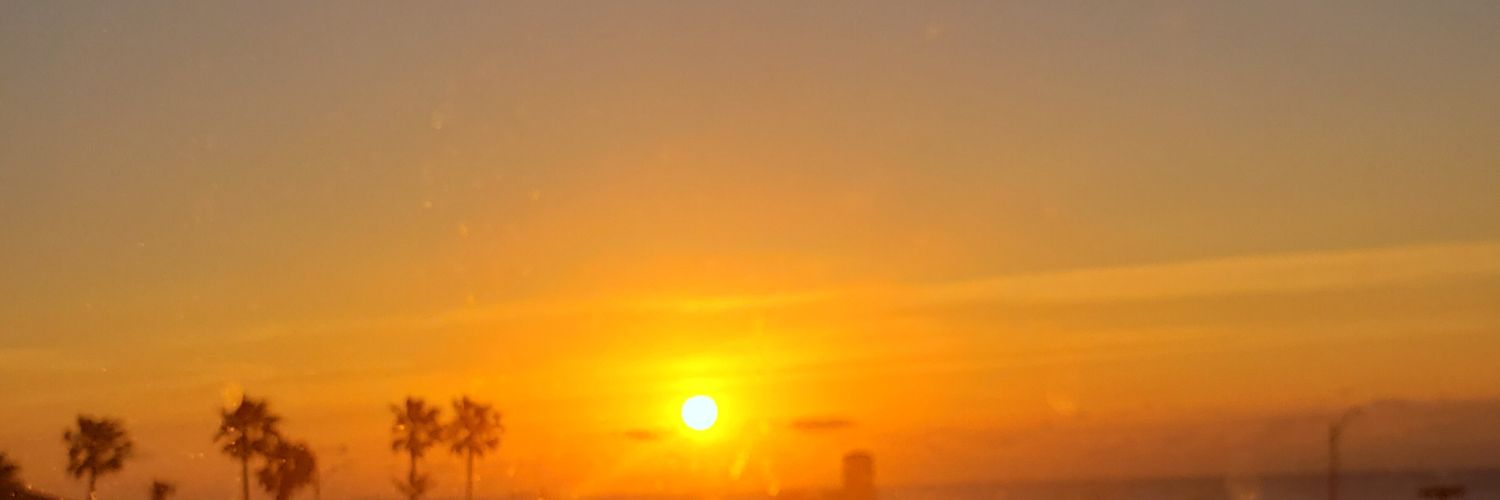 Liansalg's profile banner image