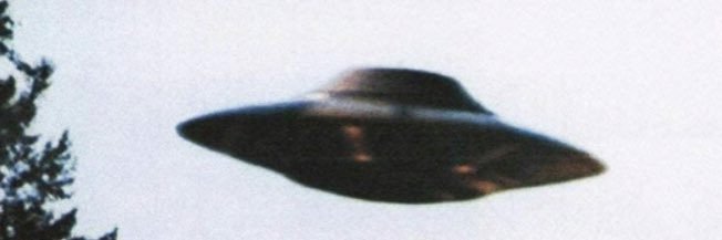 Arielle Angel's banner