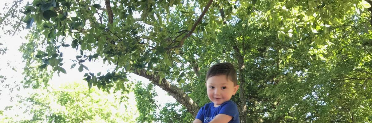 Roger Mathews banner