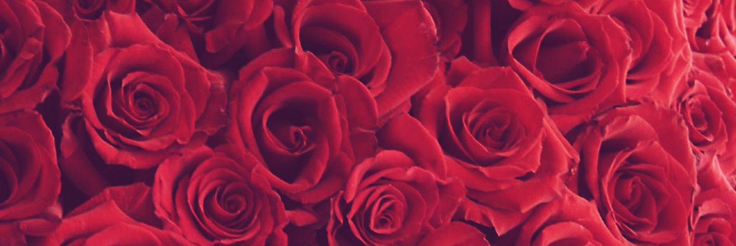 Diitacristyaa's profile banner image