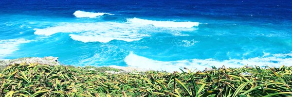 BennetM99 Profile Banner