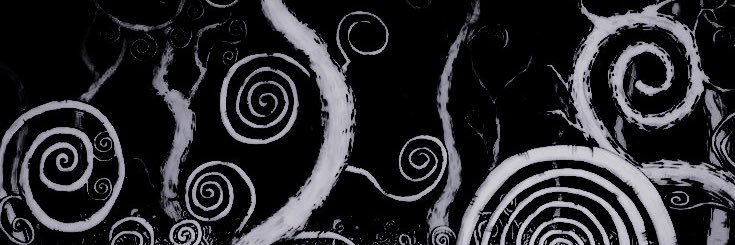 𓍼 𝑻𝑯𝑬 𝓢𝑷𝑰𝑫𝑬𝑹 banner