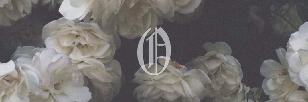 alber6morci's profile banner image