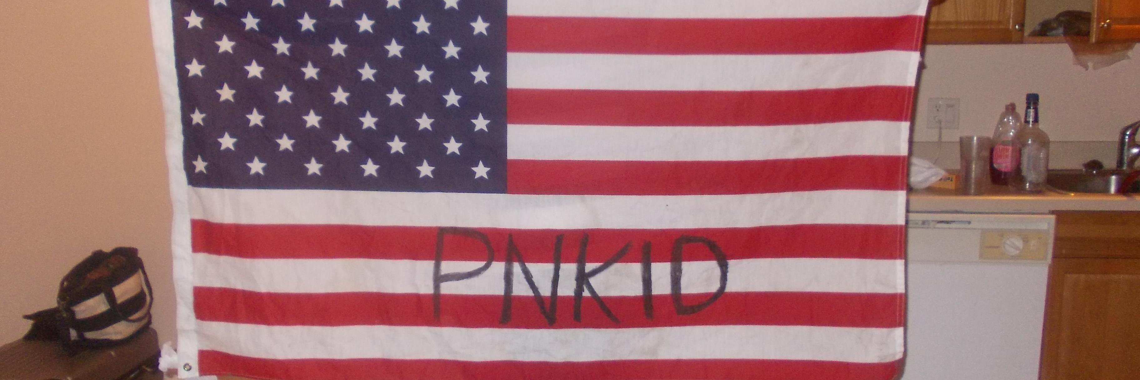 pnkidd's profile banner image